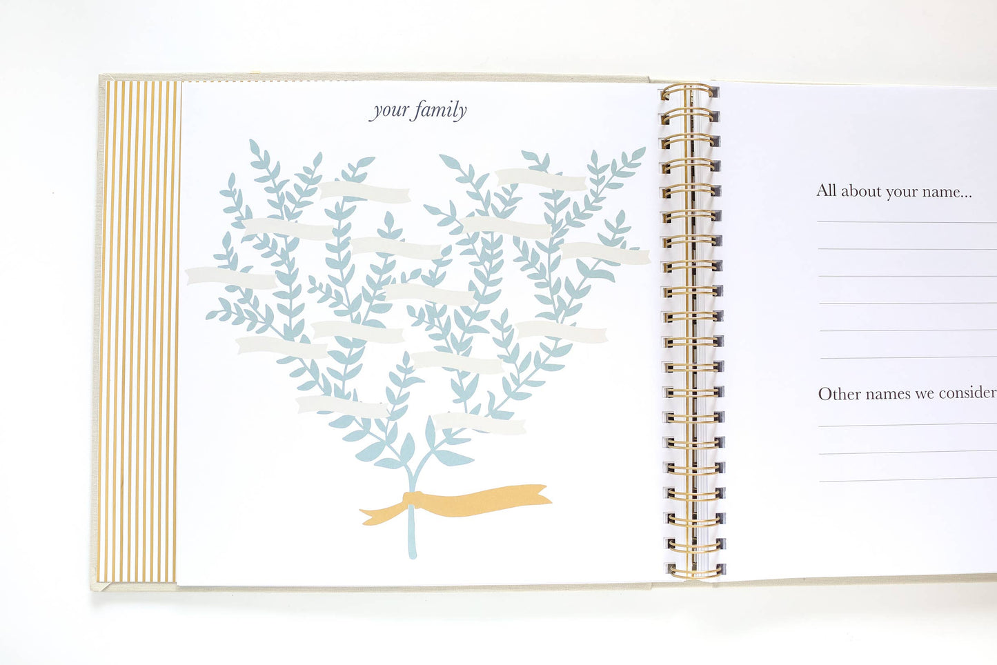 Paper Peony Press - The Baby Memory Book