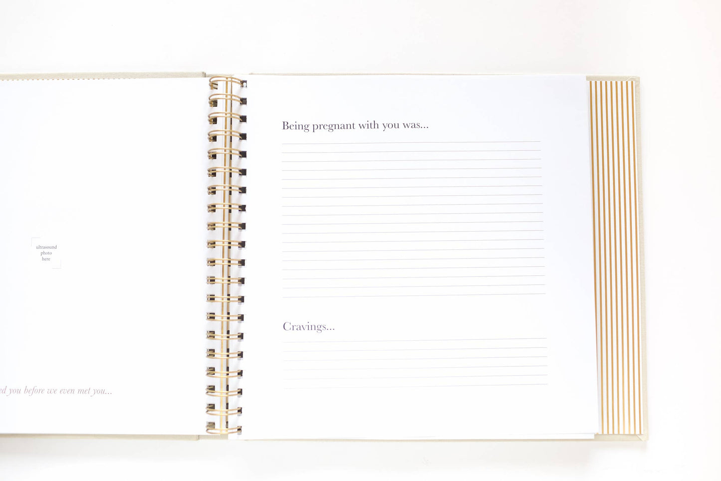 Paper Peony Press - The Baby Memory Book