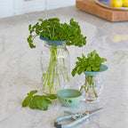 Modern Sprout - Produce Keepers - Set of 2