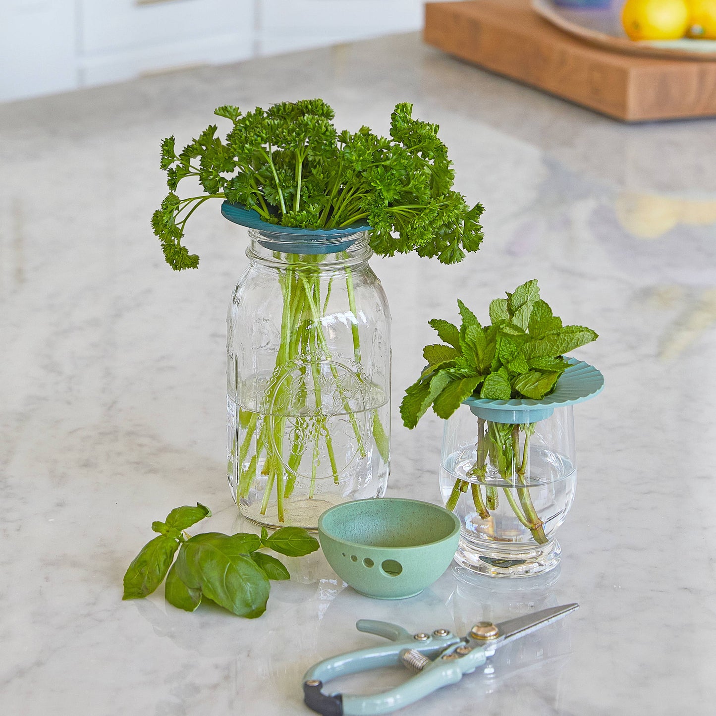 Modern Sprout - Produce Keepers - Set of 2