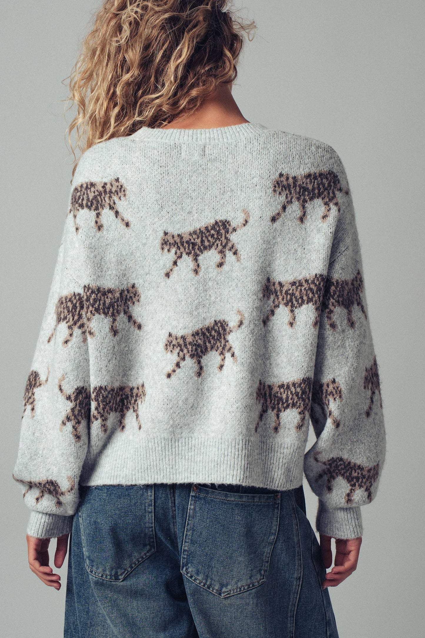 Urban Daizy - Playful Leopard Knit Crewneck Sweater