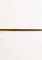 JaxKelly - Flat Snake Chain Anklet - 18k Gold Plated
