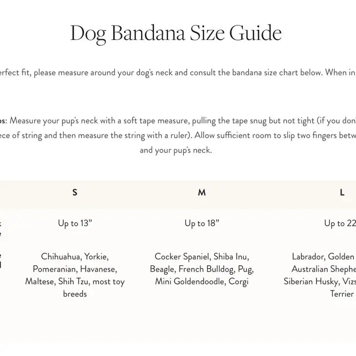 The Foggy Dog - Verde Dog Boho Bandana