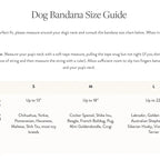 The Foggy Dog - Upcycled Denim Sustainable Dog Bandana