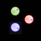 Tangle, Inc. - NightBall® Light-Up LED Baseball 3-pack